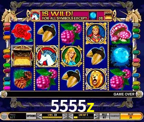 VIP Casino 5555z